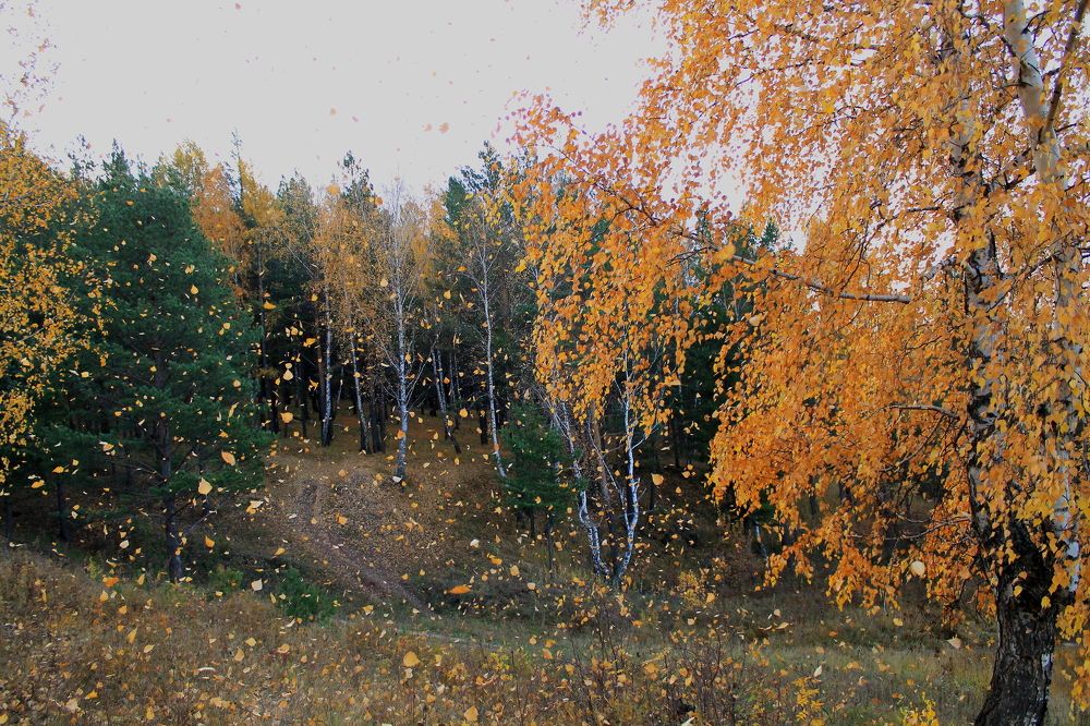 Photograph by Леунина Людмила