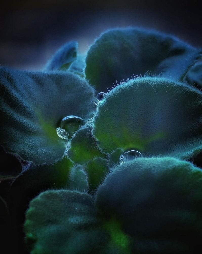 Photograph by Наталя Мартинчик