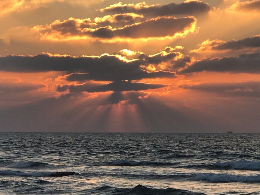 Фотография автора Hala ali