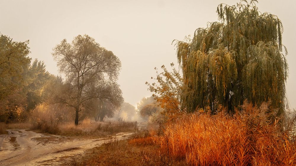 Photograph by Сергей Епишев