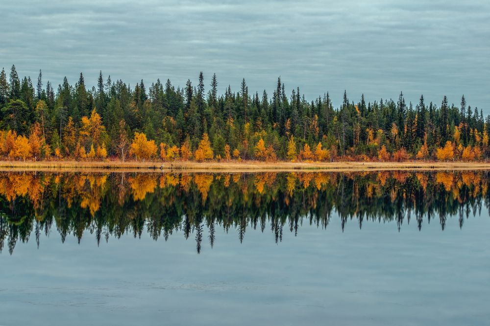 Photograph by Валентин Миляев