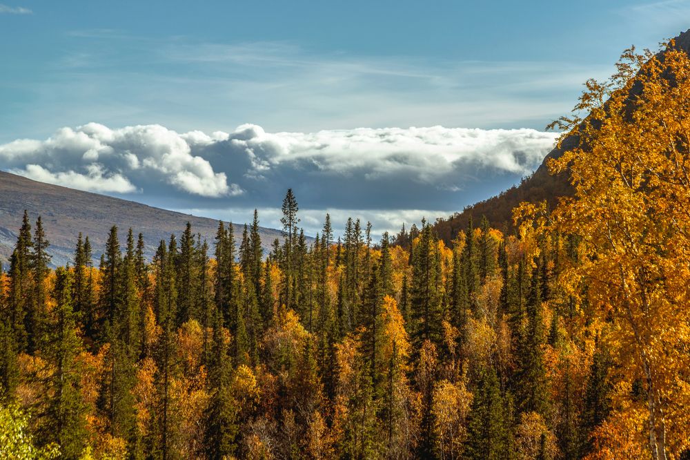 Photograph by Валентин Миляев