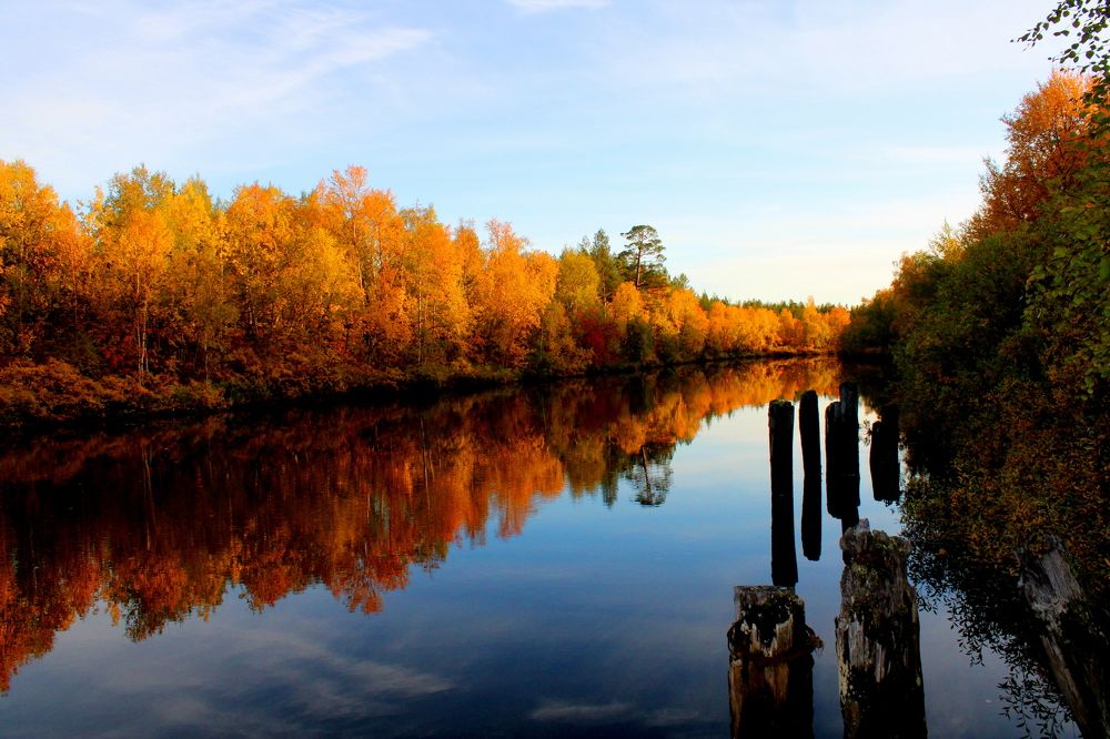 Photograph by Ирина Чечкина