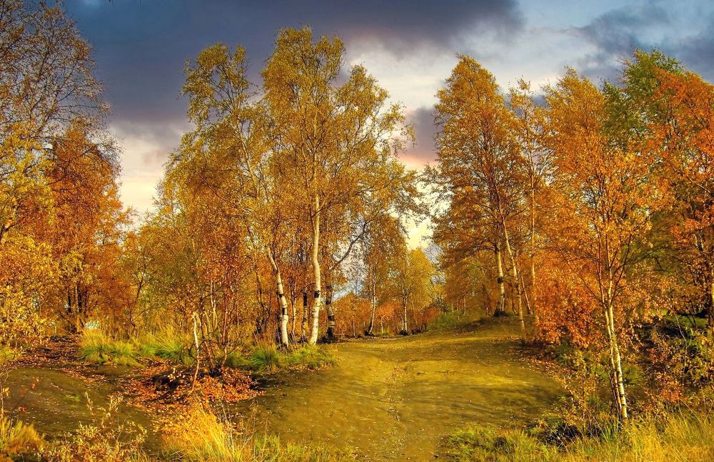 Photograph by Ирина Чечкина