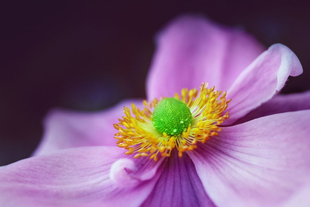 Photograph by Liga KALNINA