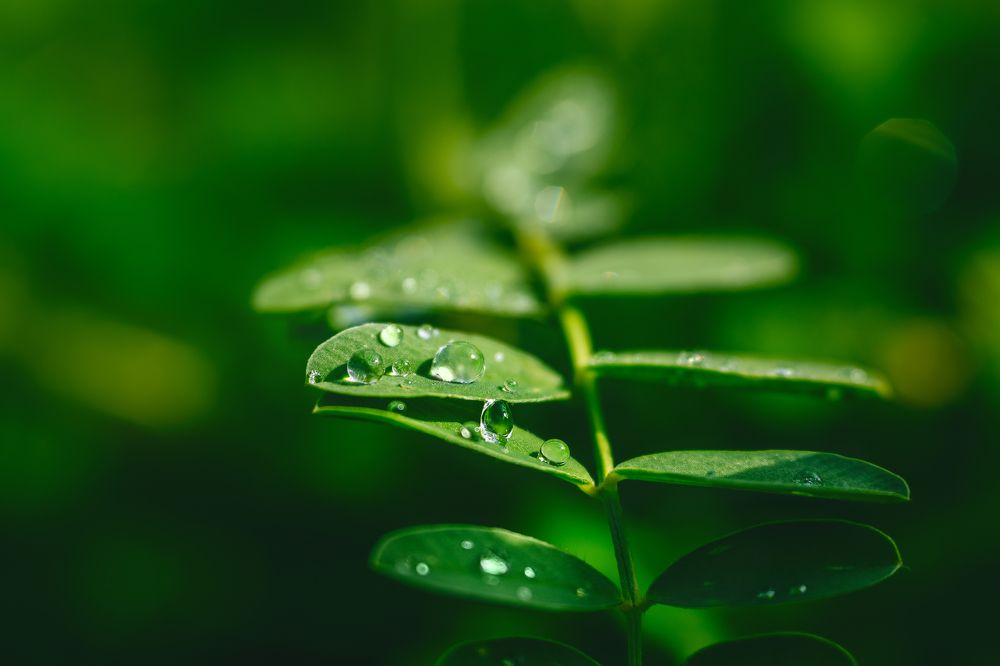 Photograph by Liga KALNINA