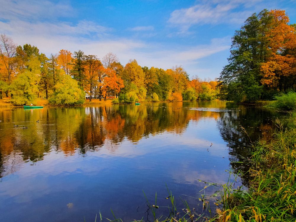 Осень в парке.