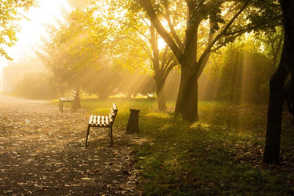 Photograph by Андрей