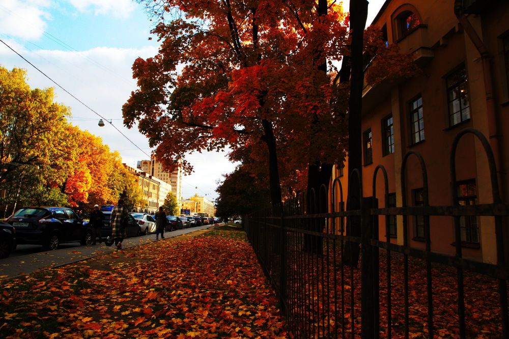 Рубины золотой осени Питера...!