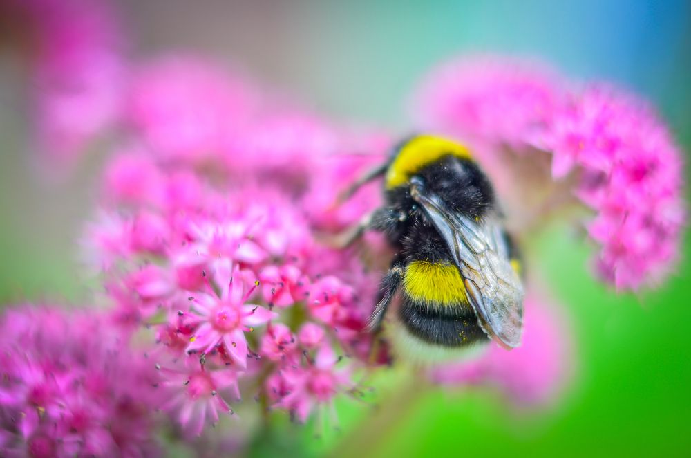 Photograph by Сергей Глухарев