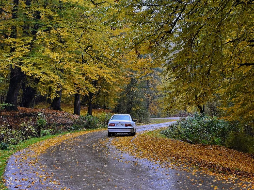 Photograph by seyyed mohammad andy