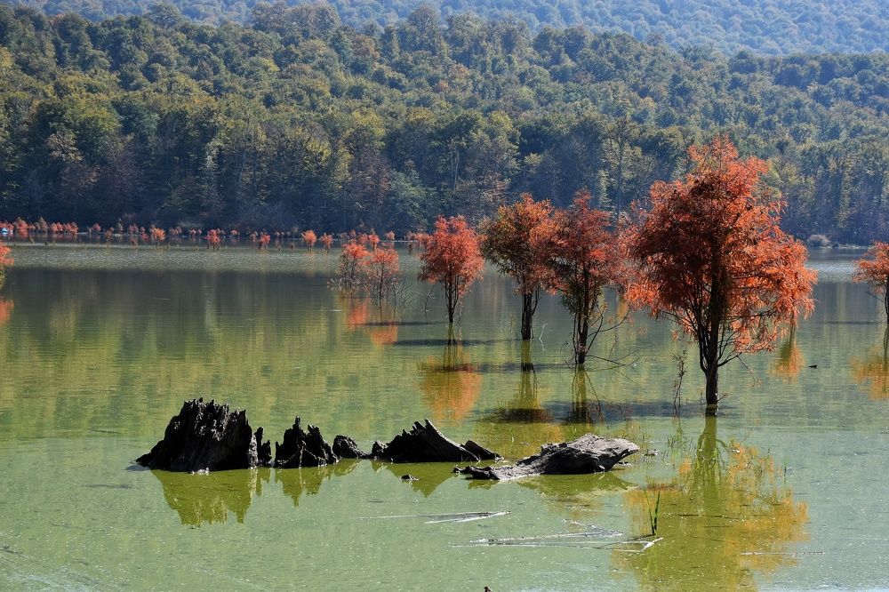 Photograph by seyyed mohammad andy