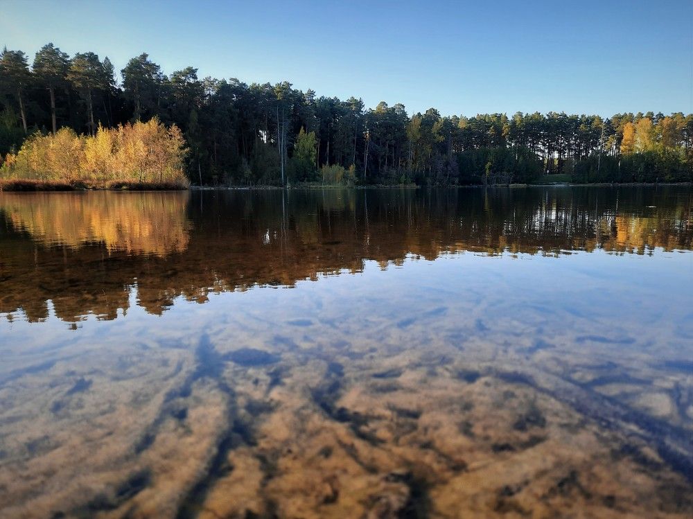 Фотография автора Елена Пикатова