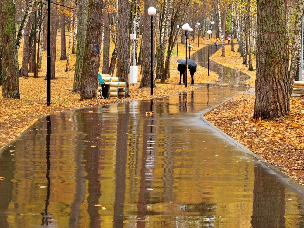 Рыжий сентябрь