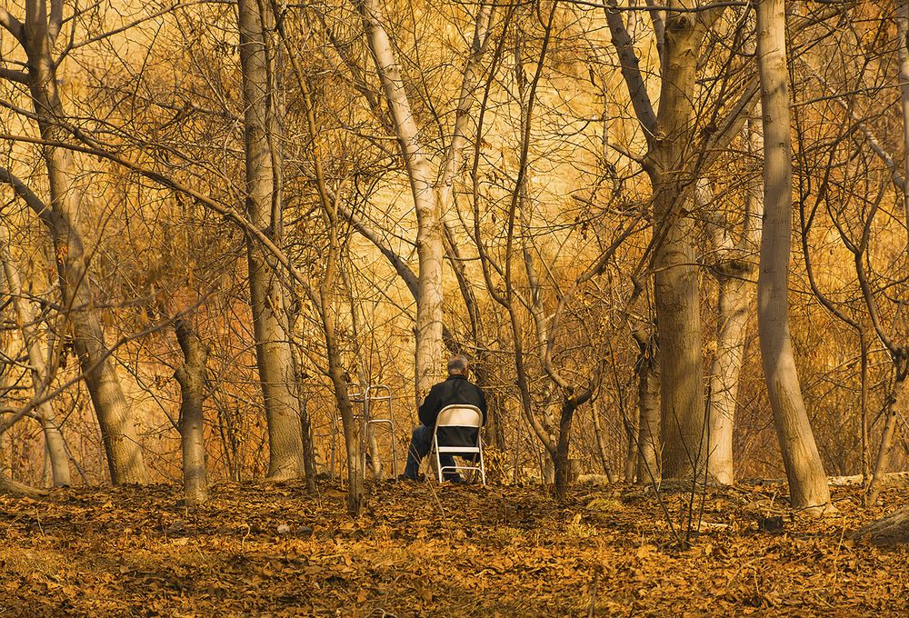 Photograph by Mahmoodreza Noraei