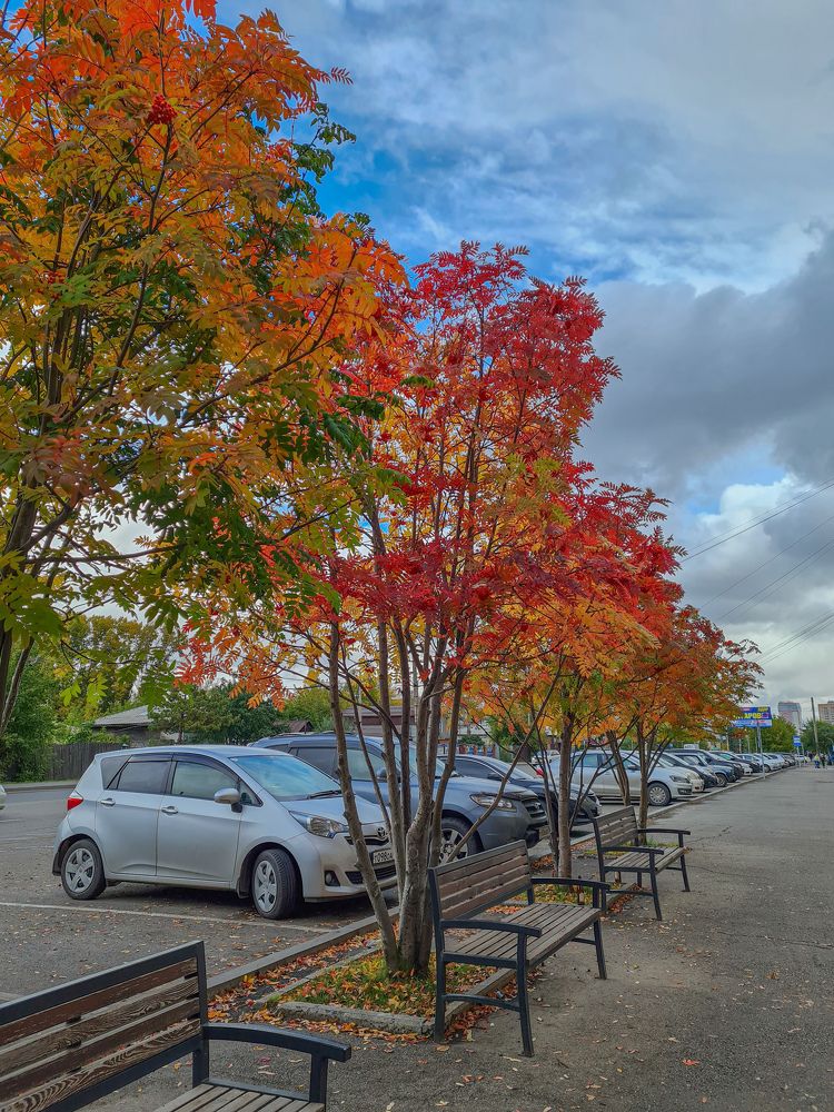 Photograph by Евгения Бобрик