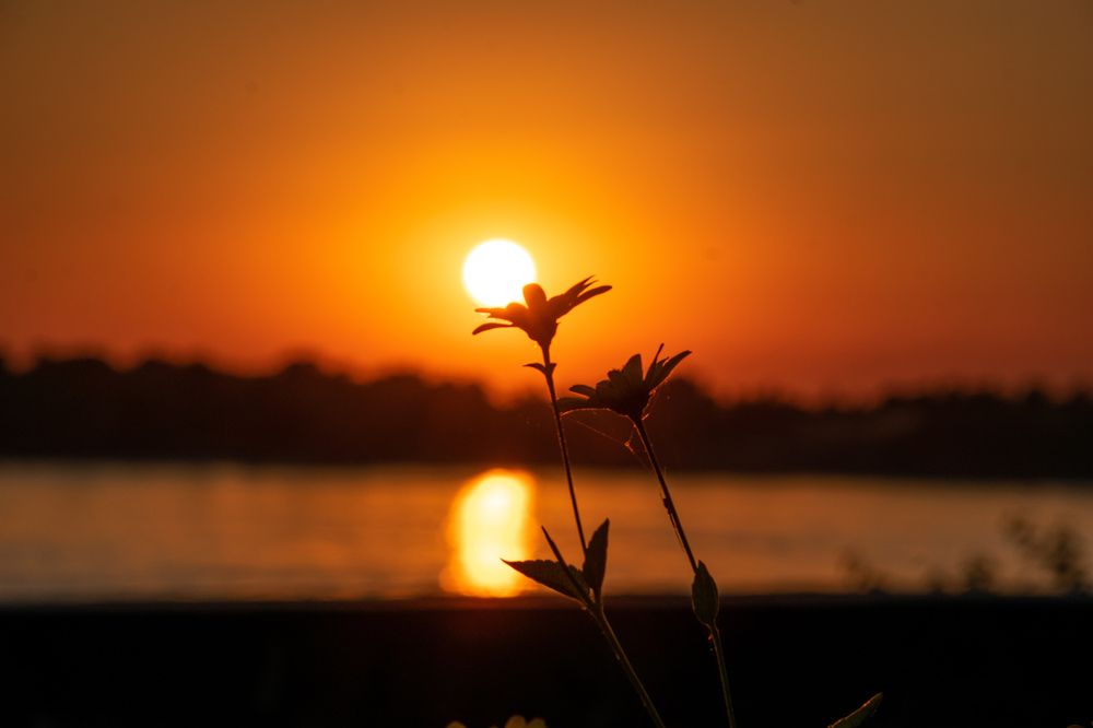 Photograph by Андрей