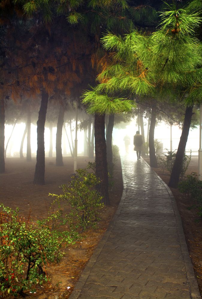 Photograph by Mahmoodreza Noraei