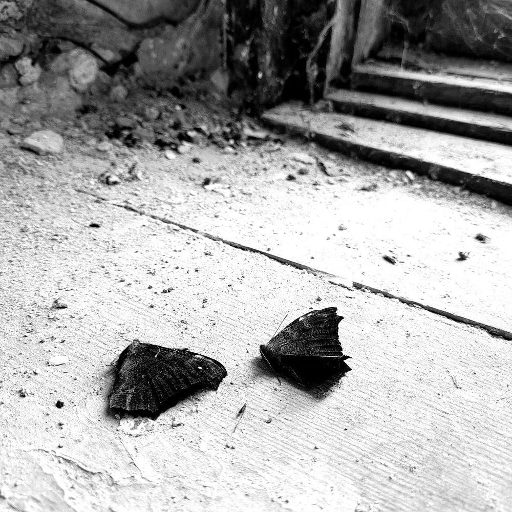 Мы будем вместе до конца