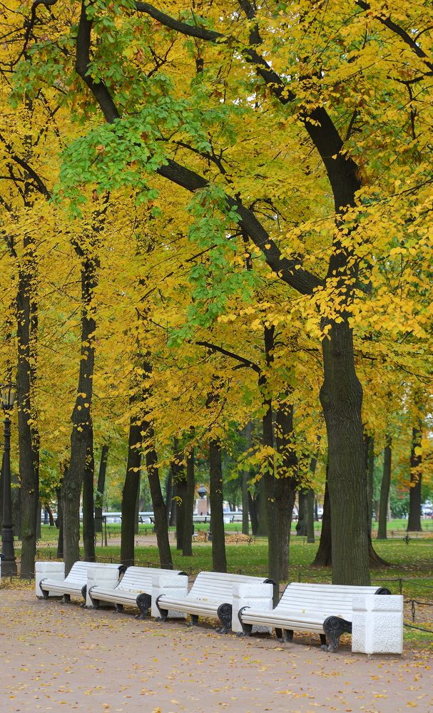 Photograph by Станислав Вершинин