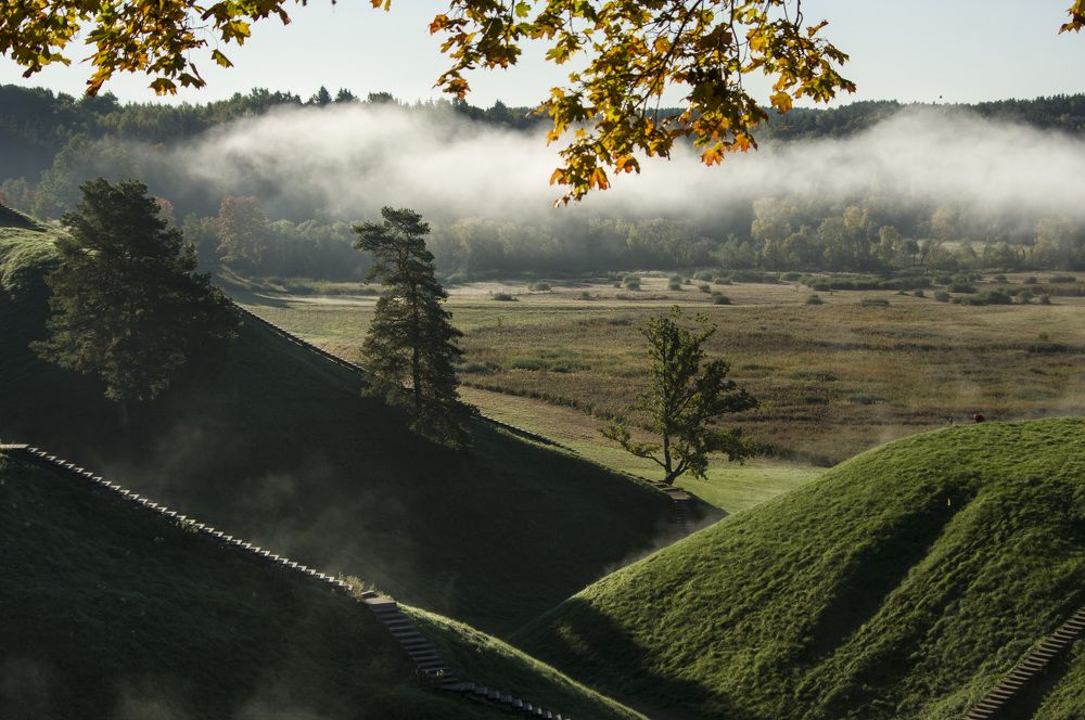 Photograph by Marina Lucenko