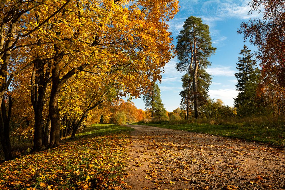 Фотография автора Aлена Хлопова