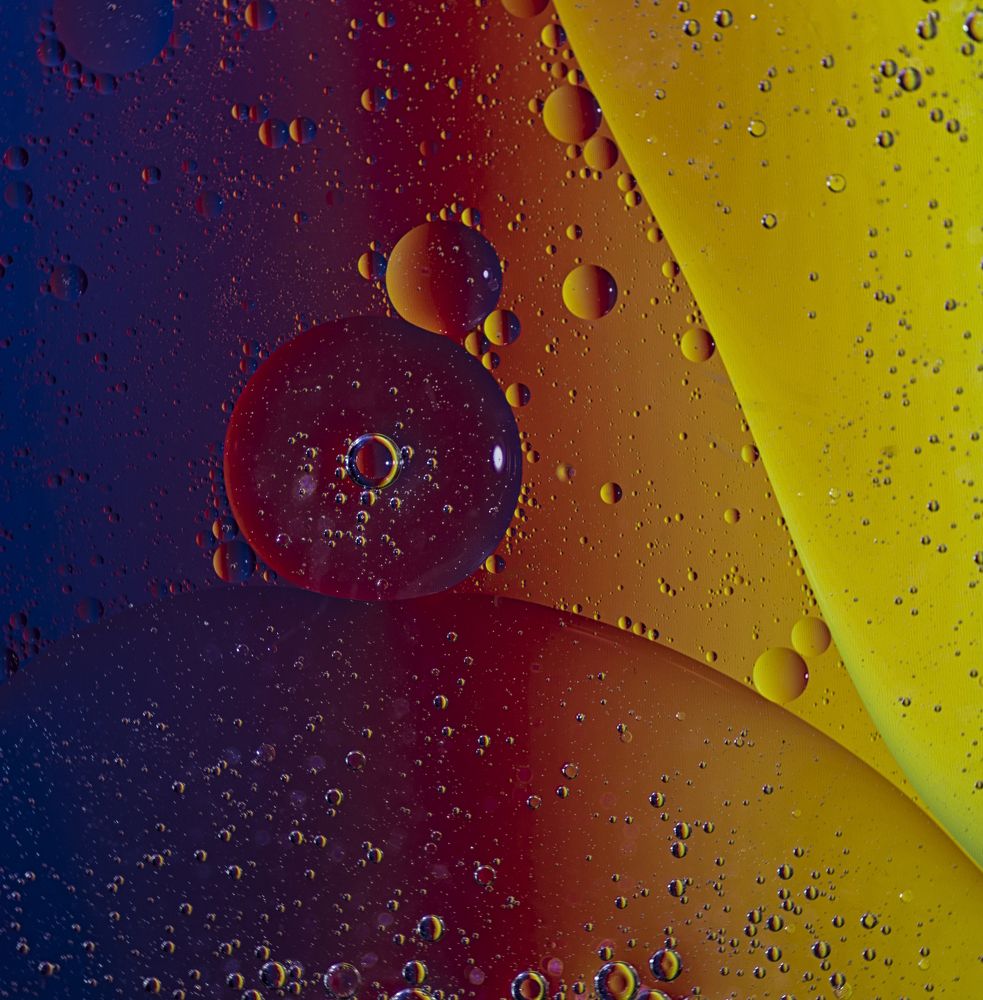 Photograph by Marina Lucenko