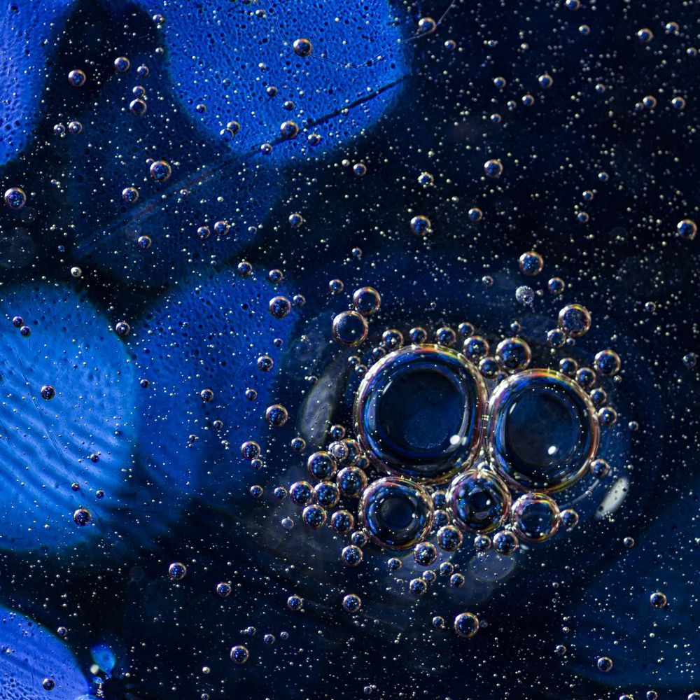 Photograph by Marina Lucenko