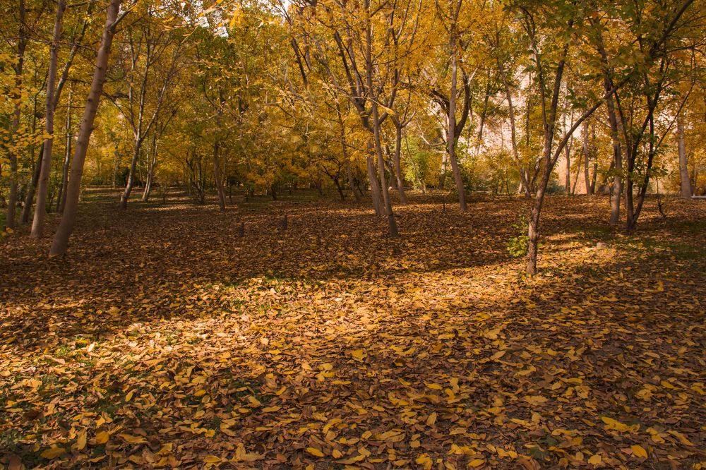 Photograph by Mahmoodreza Noraei