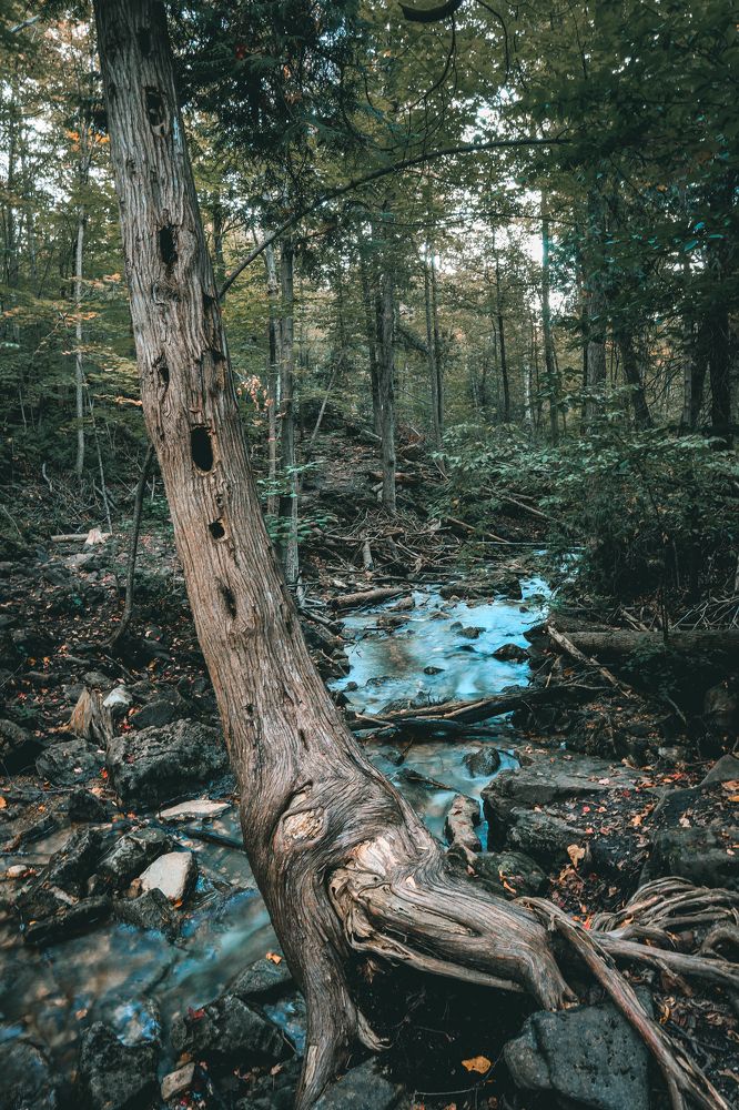 Photograph by Greg Noakes