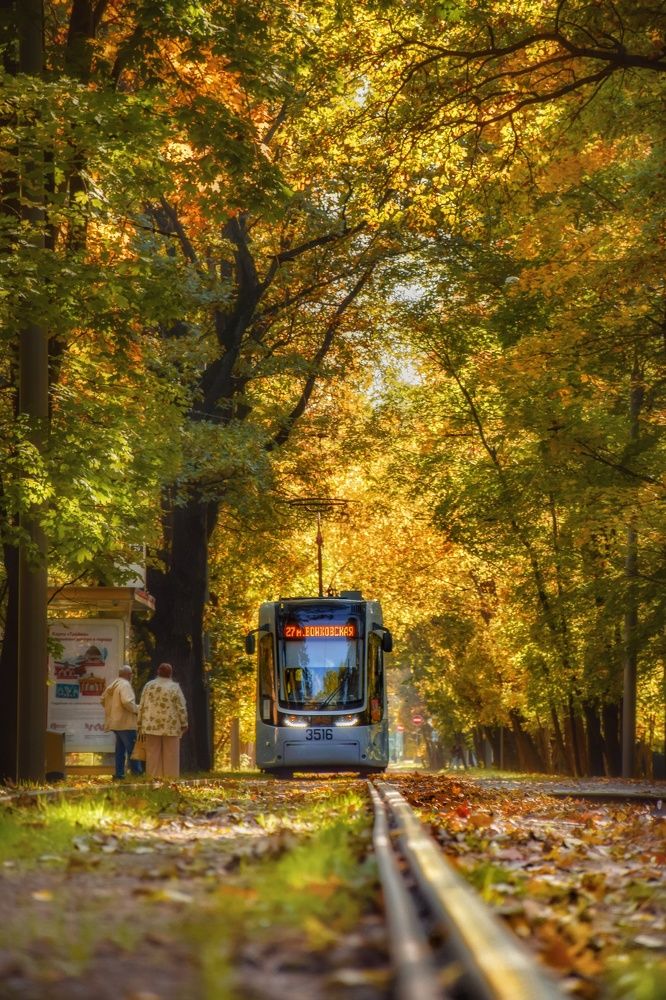 Photograph by Redjulia