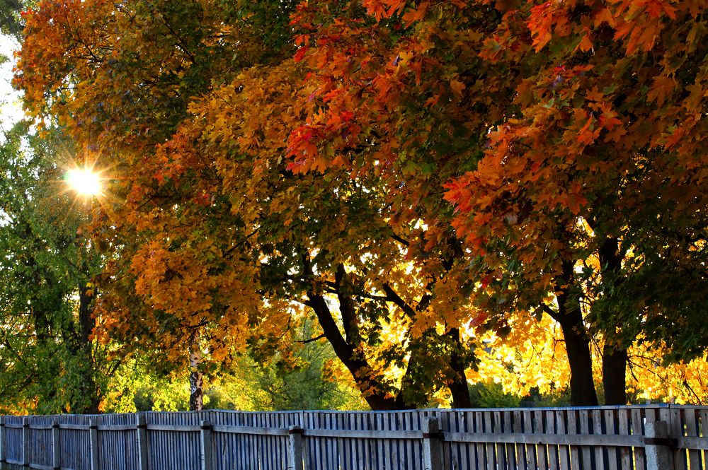 Photograph by Дарья Ващенко-Панкина