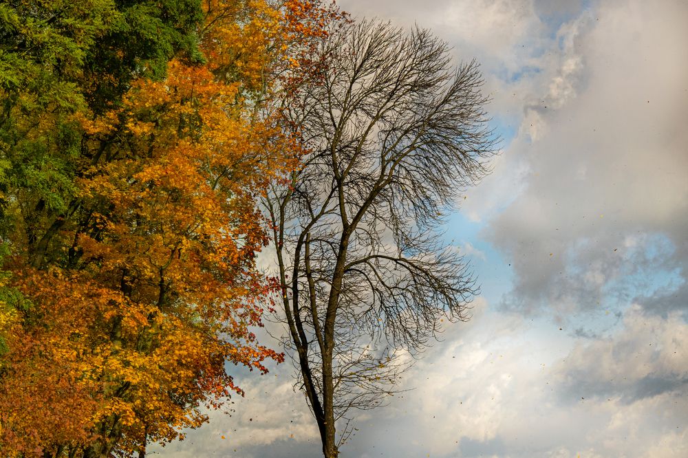 Photograph by Hanna Zapylaieva