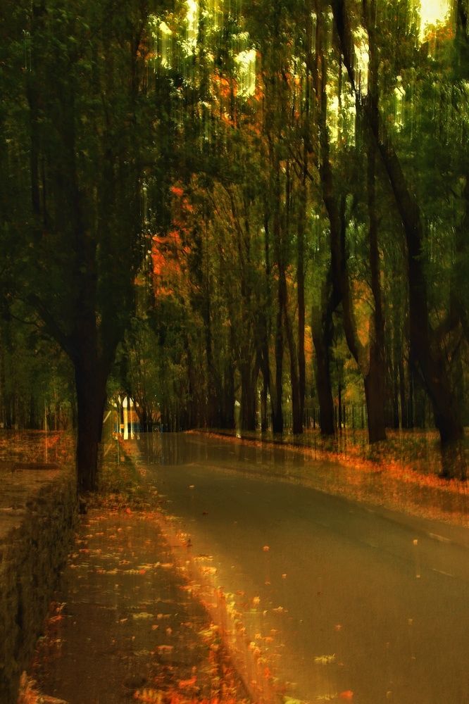 Photograph by Olga Asson