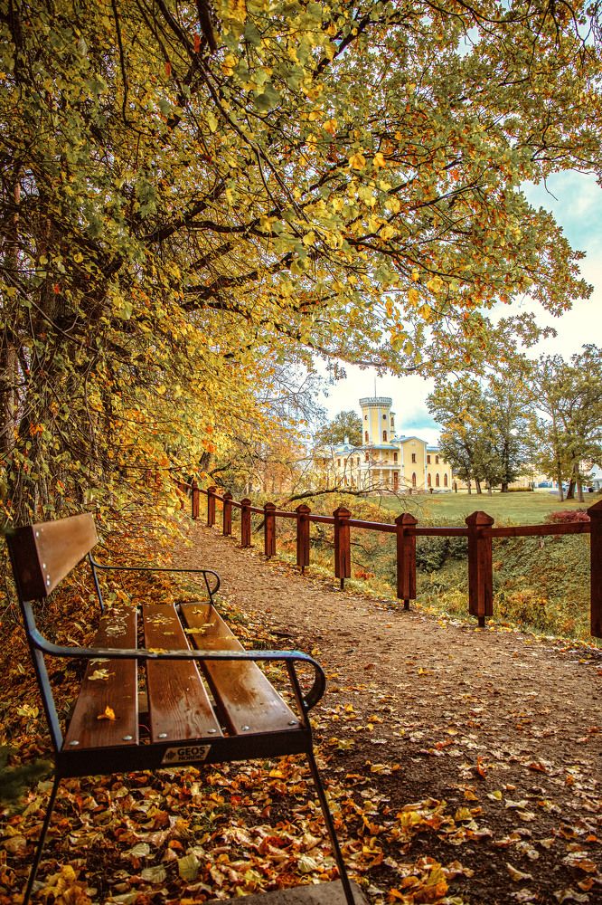 Photograph by Yulia Nikolaeva