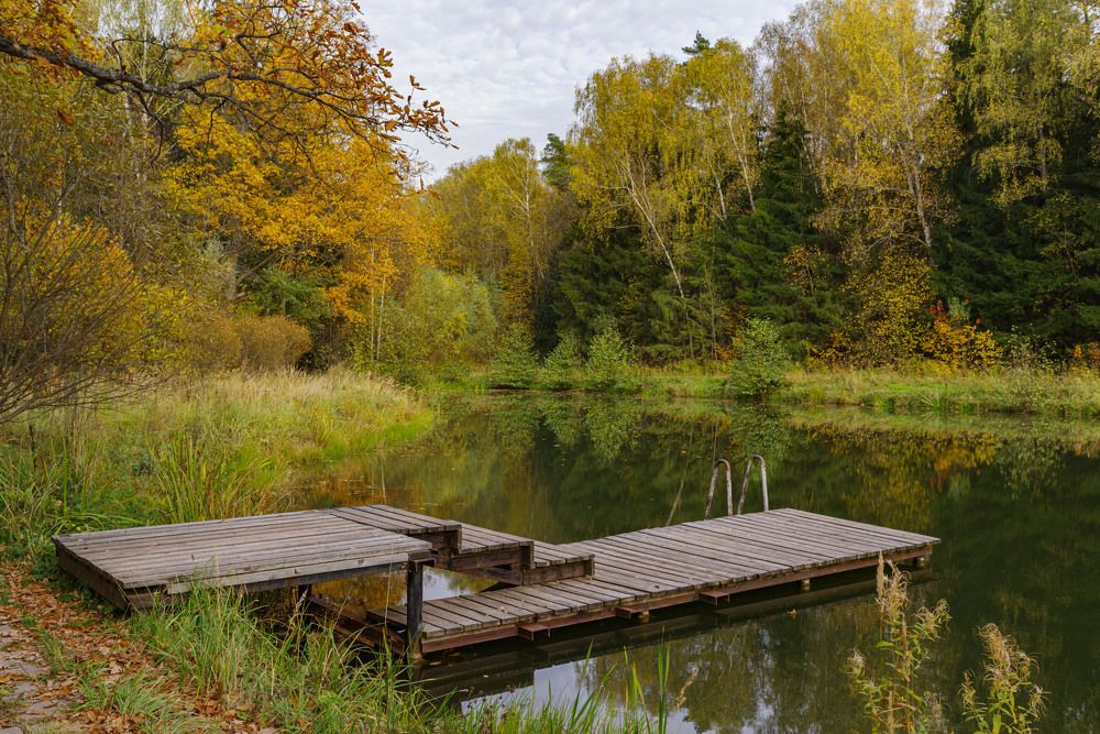 Photograph by Владимир Фирсов