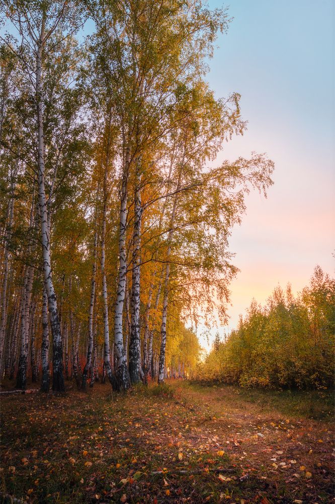 Photograph by Шаньгин Михаил