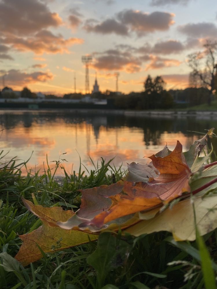 Photograph by Ива