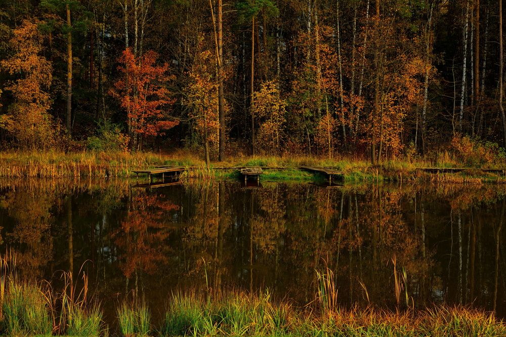 Фотография автора 