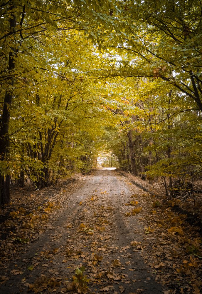 Photograph by Алексей Крукович