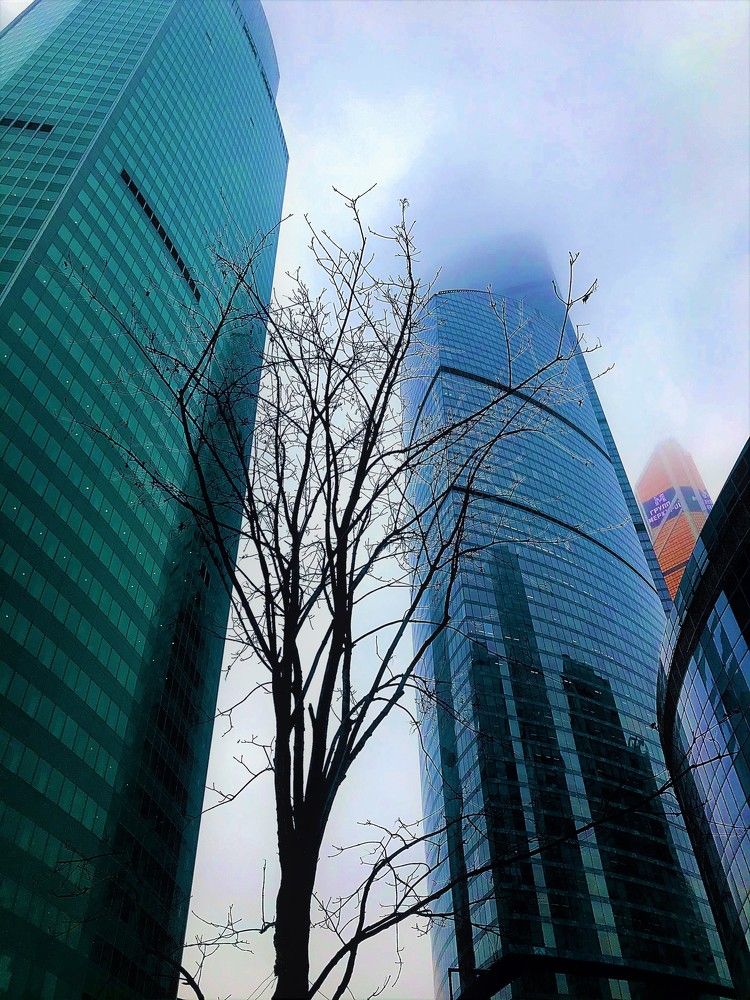 Photograph by Михаил Некрасов