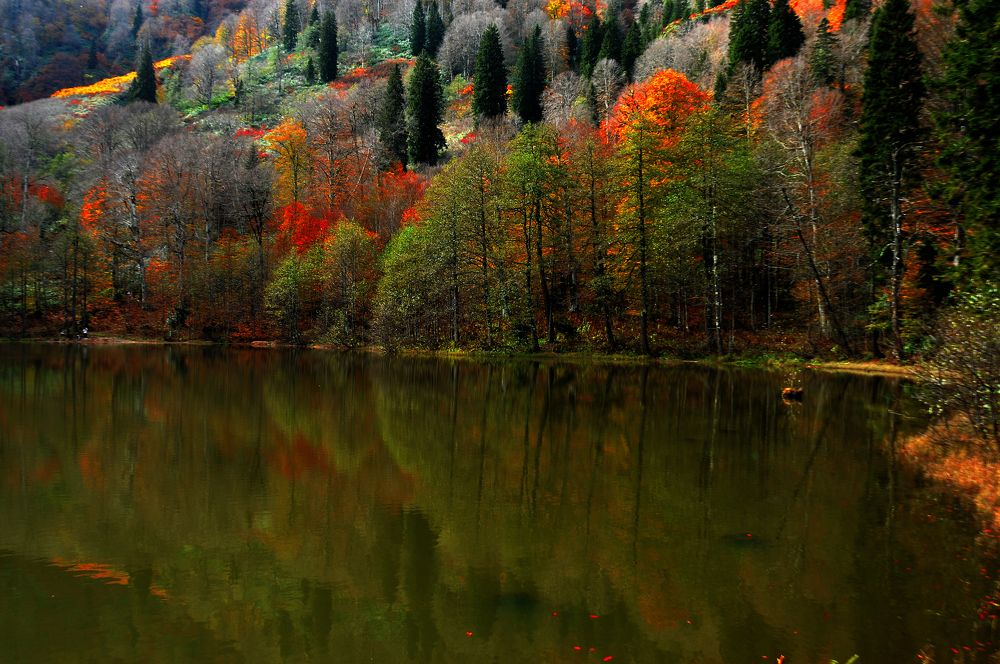 Photograph by Muzaffer Sütlüoğlu