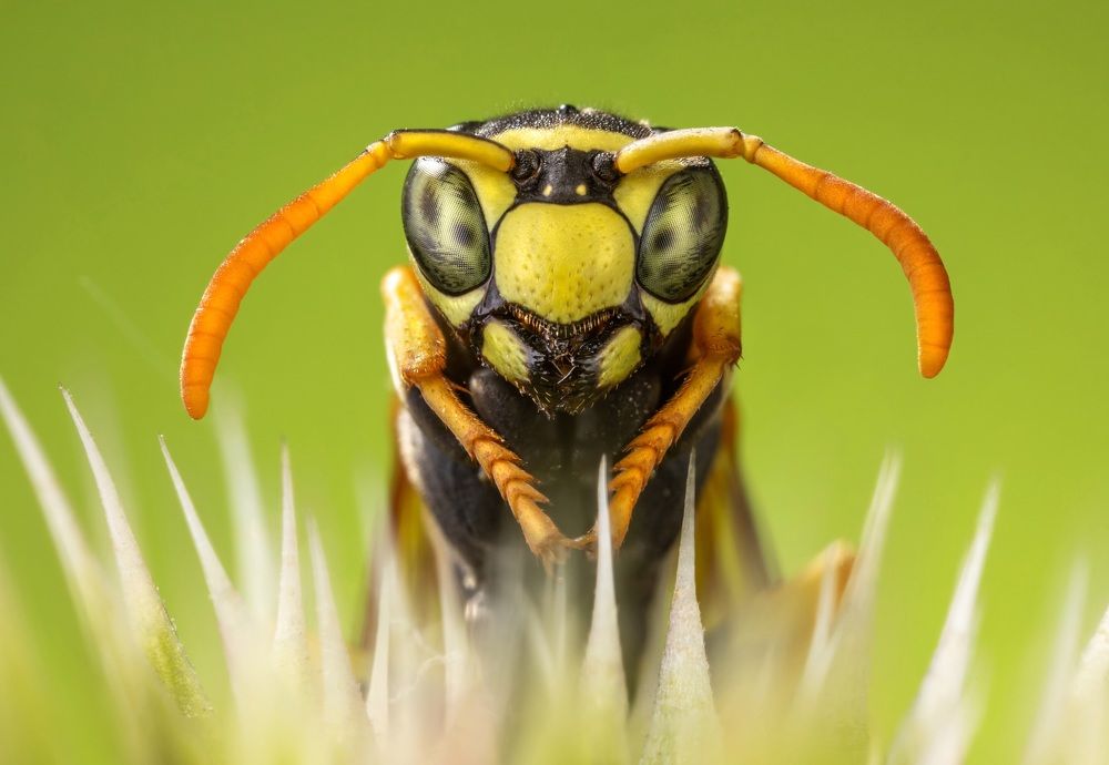 Photograph by Сергей Варыгин