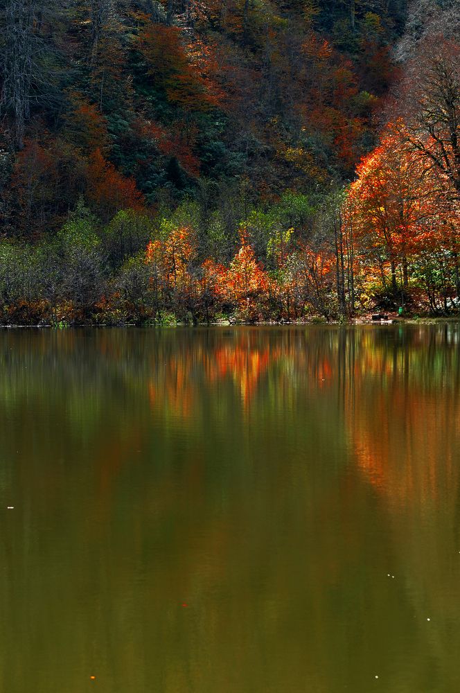 Photograph by Muzaffer Sütlüoğlu