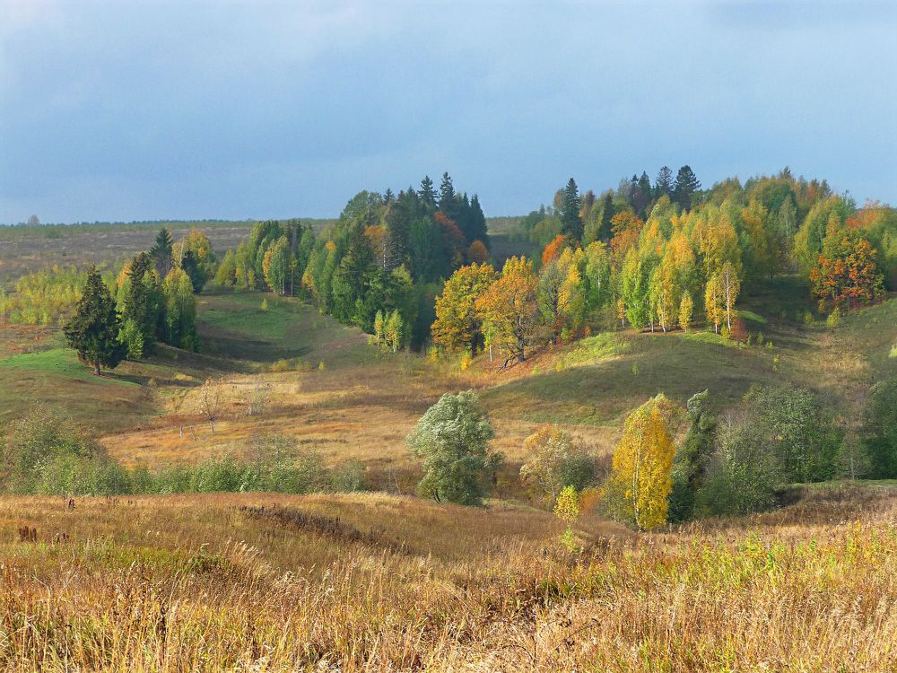 Фотография автора Клавдия Васильева