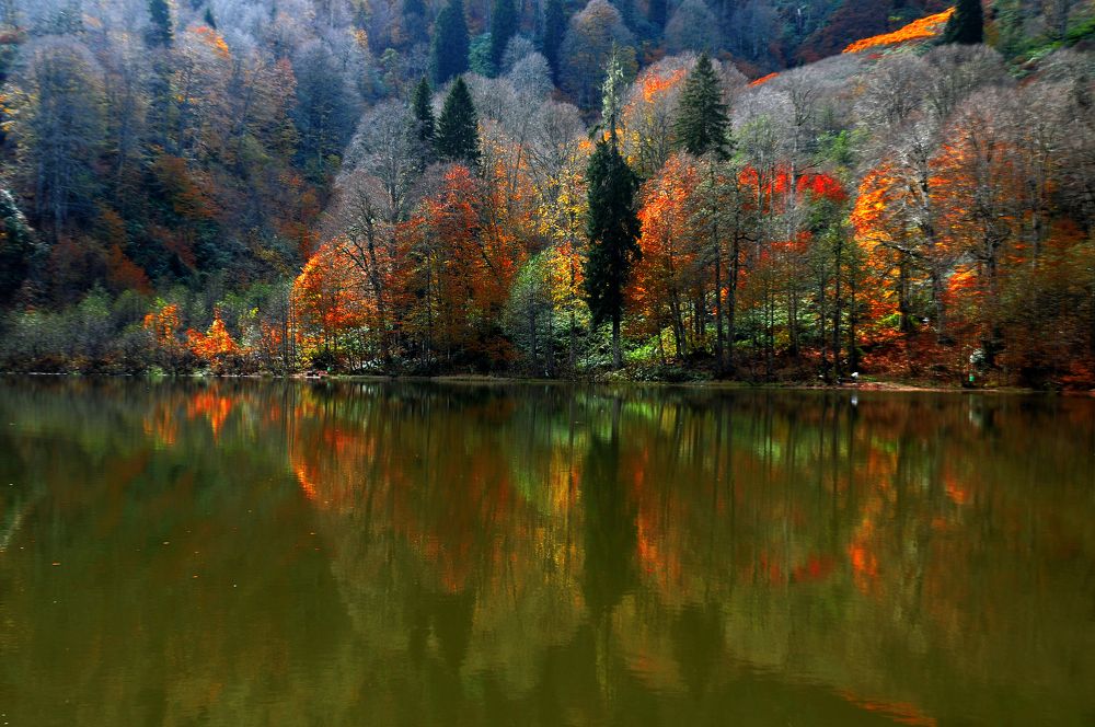 Photograph by Muzaffer Sütlüoğlu