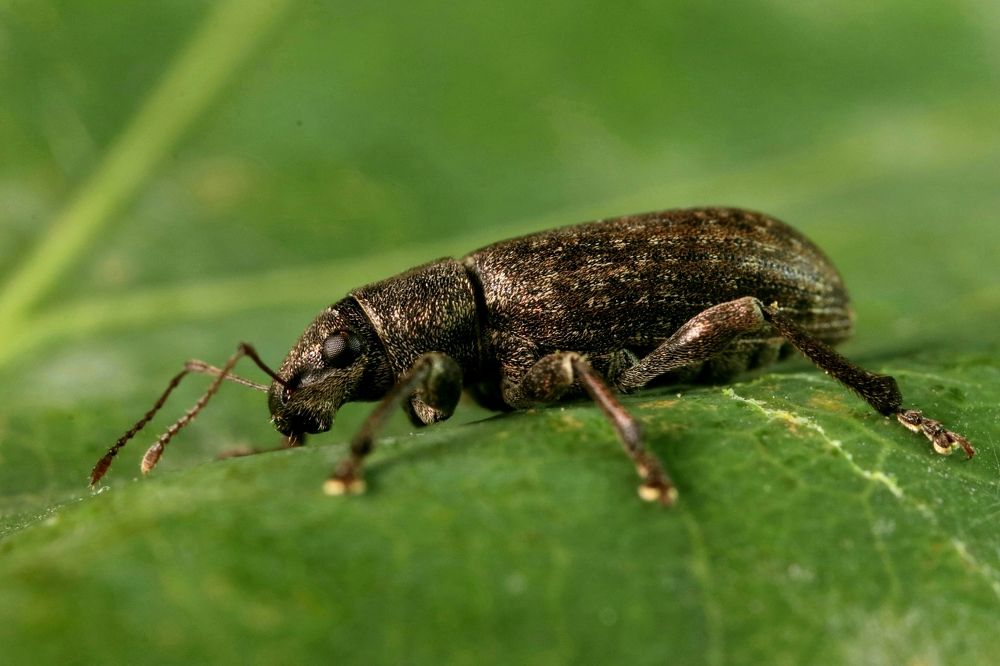 Photograph by Михаил Косяк