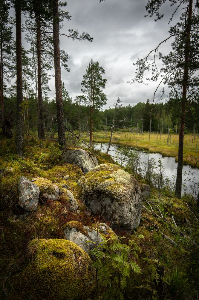 Photograph by Владимир Ганюшкин