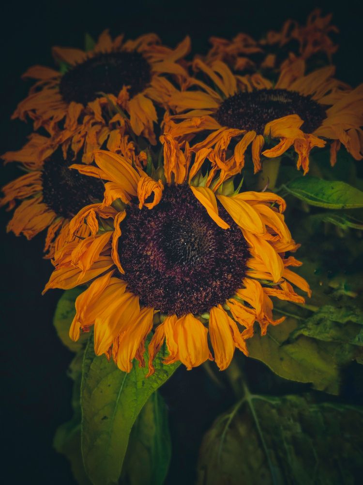 Photograph by Khrystyna Kyrylyuk