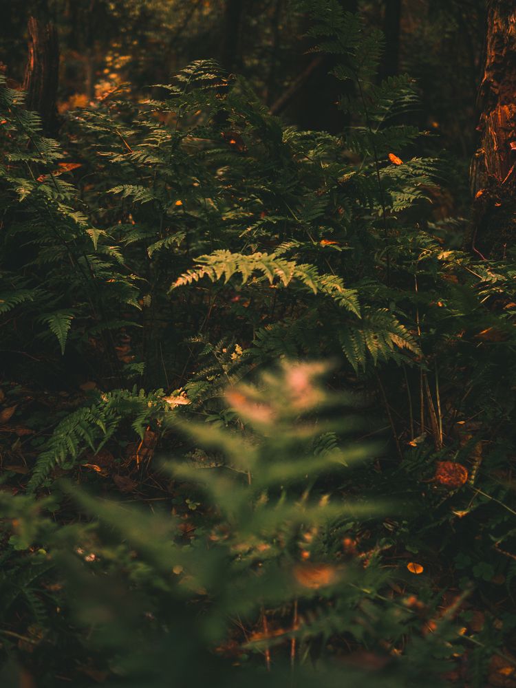 Photograph by Антон